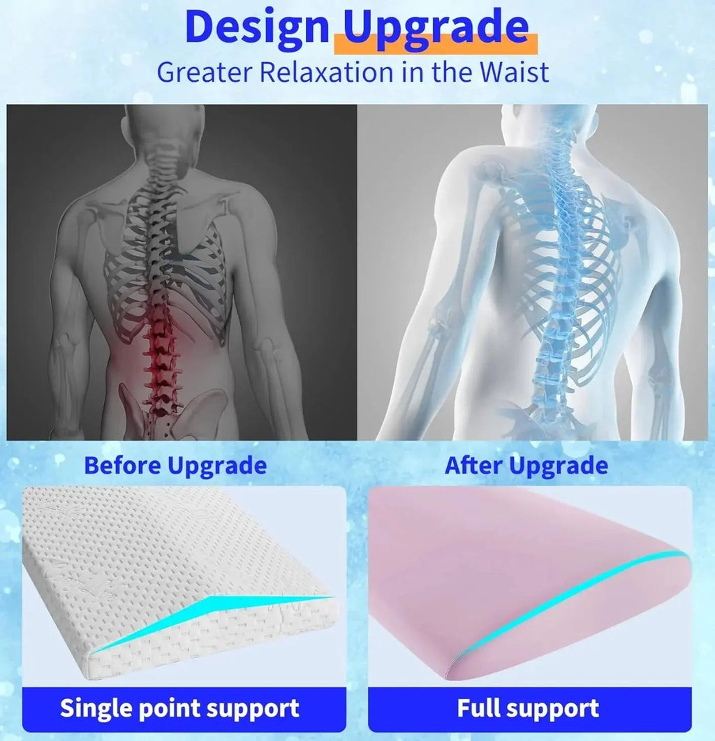 Contoured Lumbar Support Pillow