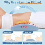 Contoured Lumbar Support Pillow