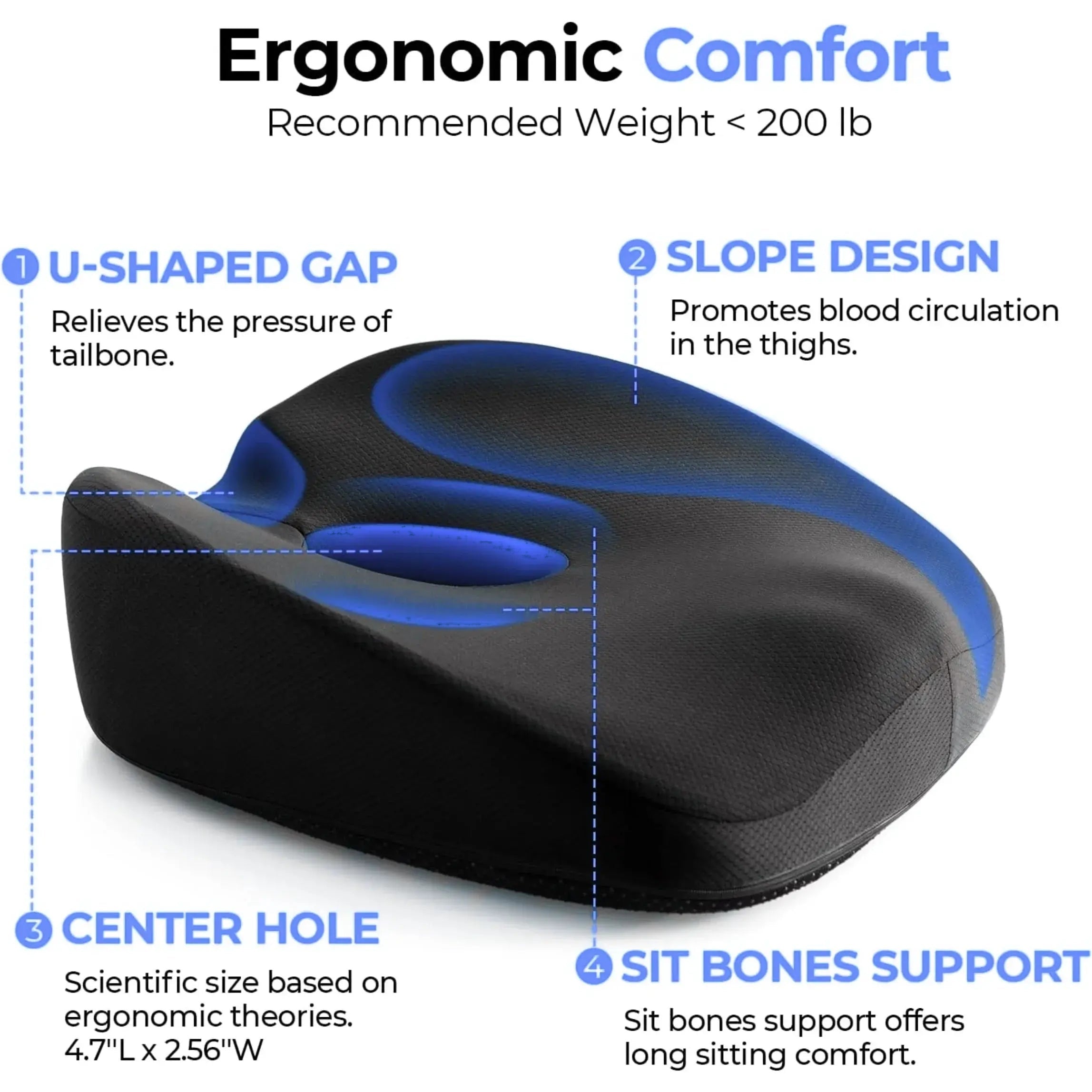 Ergonomic Donut Seat Cushion