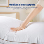 Goose Feather Down Pillow Set