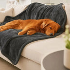 Waterproof Blanket for Dogs