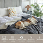 Waterproof Blanket for Dogs