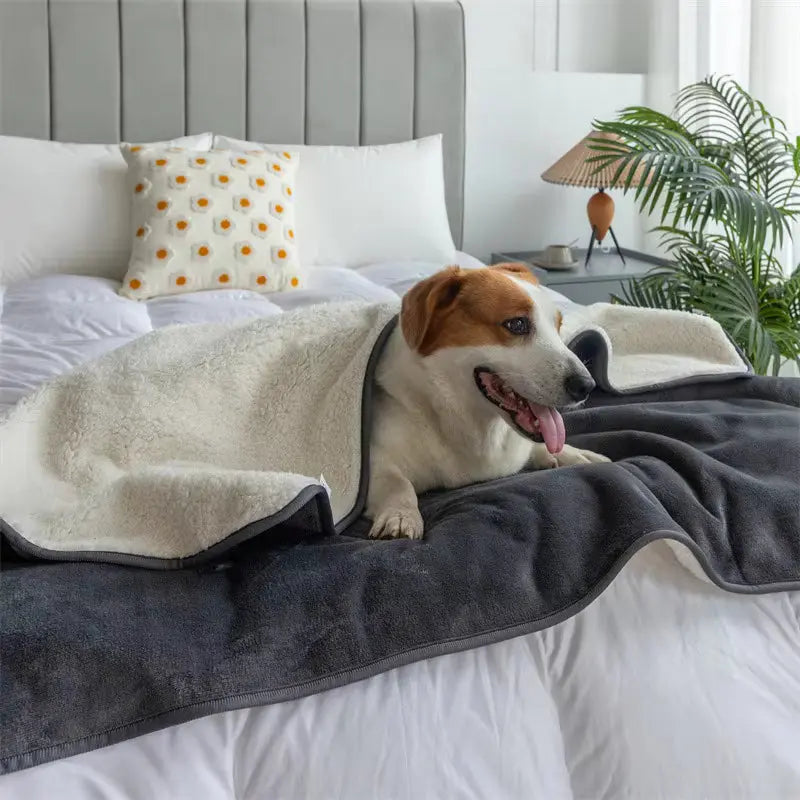 Waterproof Blanket for Dogs