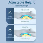 High Rebound Lumbar Support Pillow