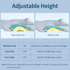 High Rebound Lumbar Support Pillow