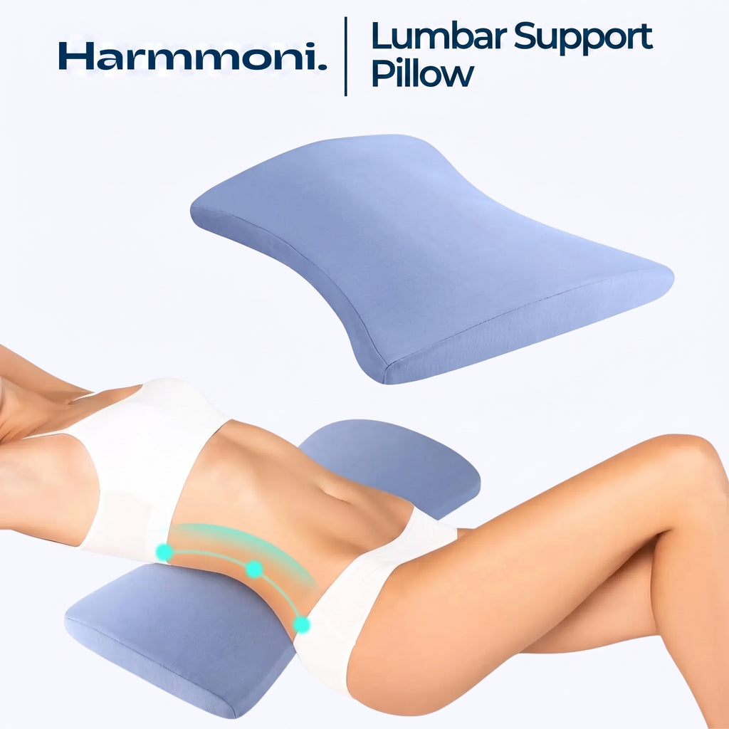 Contoured Lumbar Support Pillow