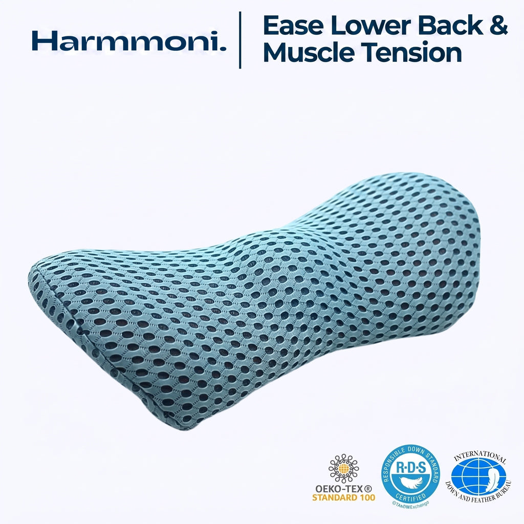 Memory Foam Lumbar Support Pillow