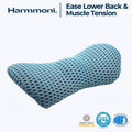 Memory Foam Lumbar Support Pillow