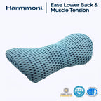 Memory Foam Lumbar Support Pillow