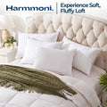 Goose Feather Down Pillow Set