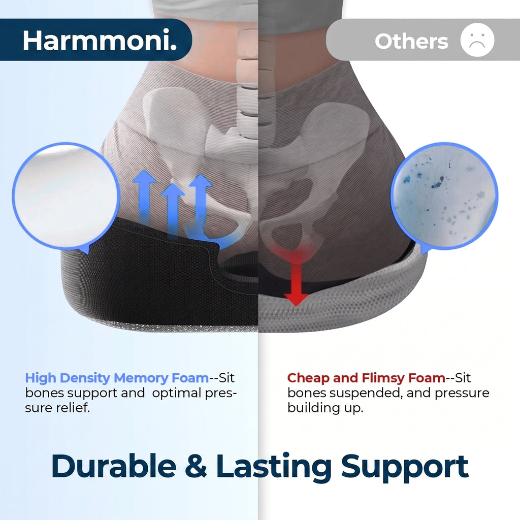 Ergonomic Donut Seat Cushion