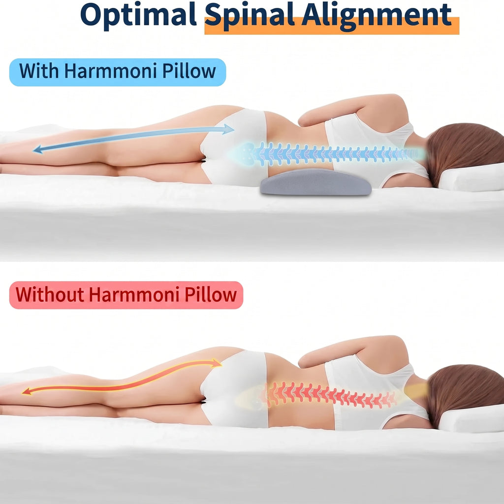 Contoured Lumbar Support Pillow