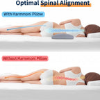 Contoured Lumbar Support Pillow